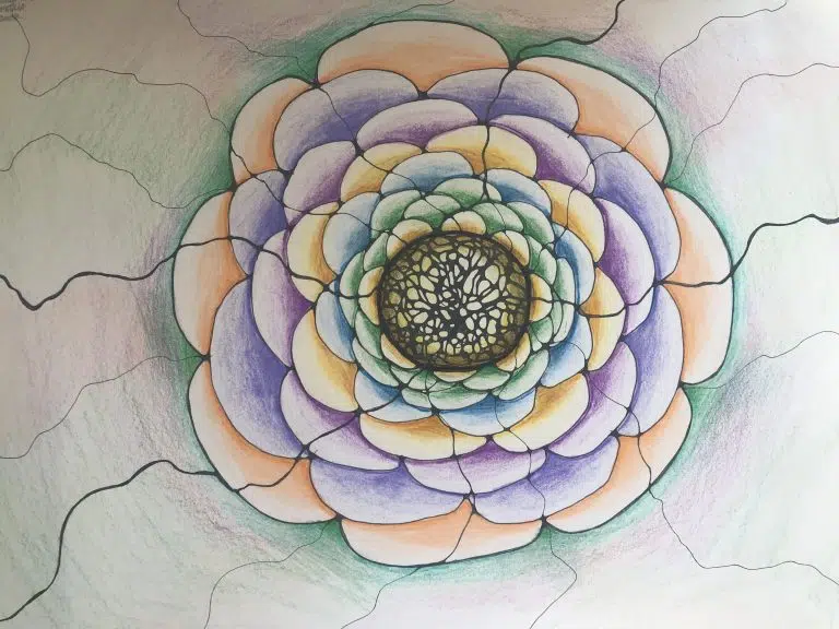 Neurographic art of a camellia flower in soft pastel shades – symbolising growth, healing, and transformation. Used on Workshops page and blog